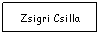 Text Box: Zsigri Csilla
