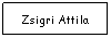 Text Box: Zsigri Attila
