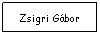 Text Box: Zsigri Gbor
