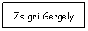 Text Box: Zsigri Gergely
