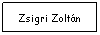 Text Box: Zsigri Zoltn
