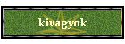 kivagyok