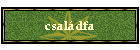 csaldfa